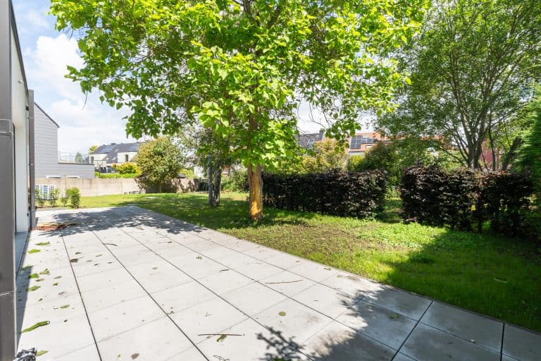 Rustieke tuin met groen gazon en grote bomen, ideaal voor ontspanning en buitenactiviteiten.